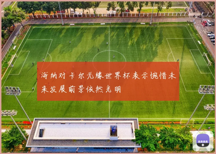 海纳对卡尔无缘世界杯表示惋惜未来发展前景依然光明